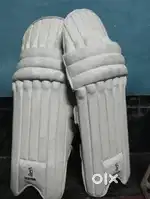 Kookaburra Batting Pad For Seniors
