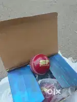 Leather ball