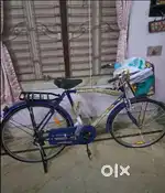 Avon cycle