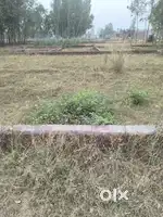 100 गज प्लॉट, निकट चैतिया फार्म, मौजा शाहपुर, मुरादाबाद