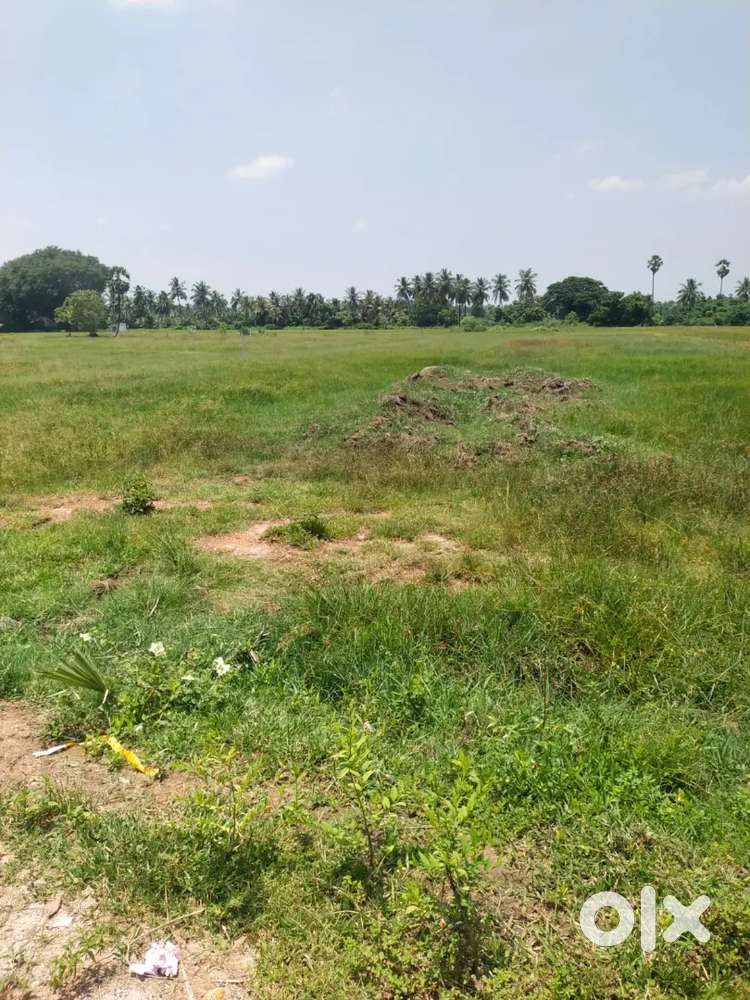Commercial plot and land sale pondicherry