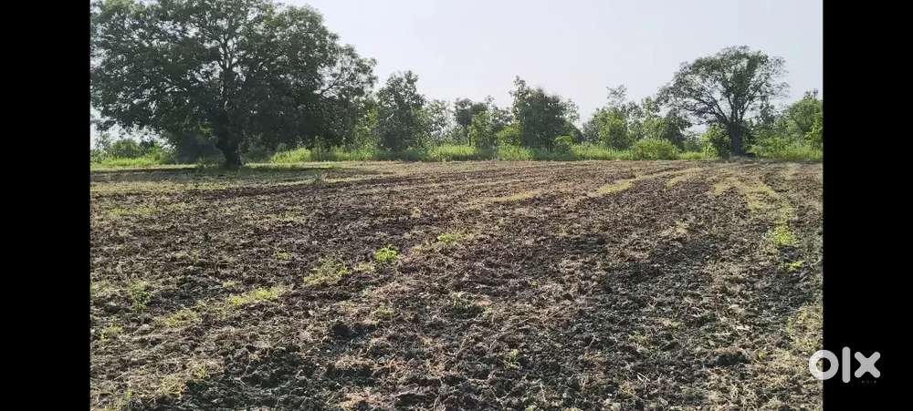 Farmhouse natural view