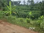 75 cent land for sale in Enanalloor near Avoli