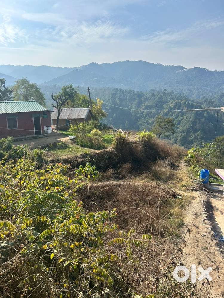 3 lakh per biswa (51 biswa total )