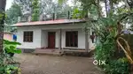 Rent. മാമ്മൂട് 3 bedroom attached. 10000 Rs .