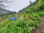 Scenic Land For Sale in Kodaikanal