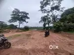 Per cents best land