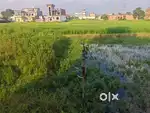 Plot for sale