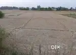 Plot in chakiya baddopur, Mohamdabaad, ghzpr