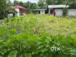 Engkol nambol khathong yum taba yaba