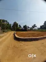 പെരുമ്പാവൂരിൽ - ഓടക്കാലി യിൽ കുറഞ്ഞ നിരക്കിൽ residential Plot