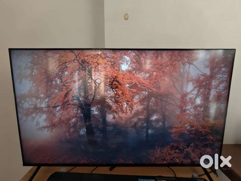 TV - Sony 55 inch X90J