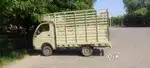 Petrol + CNG