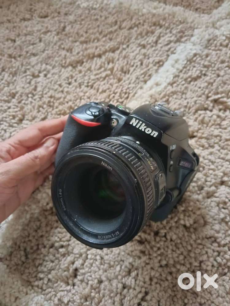 Nikon D5600 With Tamron 70-200 F2.8 vc, Nikkor 24-120 F4, Nikkor 50mm