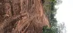 6.5 cent House plot for sale 600000 per cent (negotiable)r cent