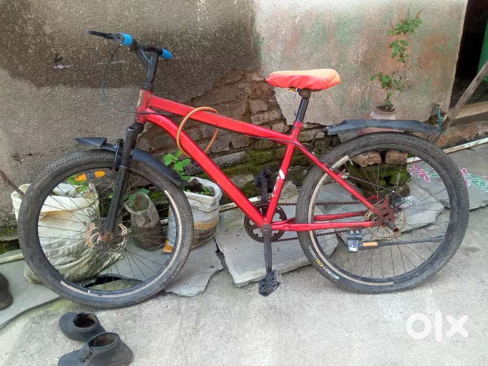 1.2 years old cycle