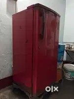 Fridge and cooler