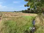 Land For Sale - 15 cents