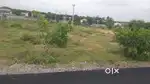 Title*: Land Plot for Sale in AMR Mega City, Moinabad.