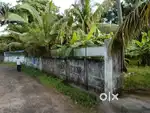 Farm land for sale with farm house 115 cents