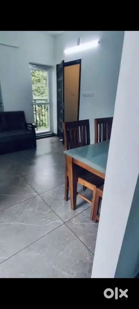 2 BHK FULLY FURNISHED APARTMENT RENT AT KAKKANAD INFOPARK NEAR