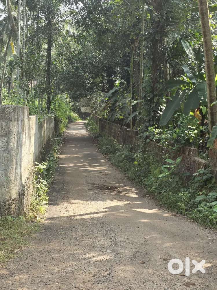 Urgent slae കോഴിക്കോട് അണ്ടിക്കോട് (പറമ്പത്ത്