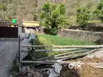 Commercial plot location tapovan near balaknath road