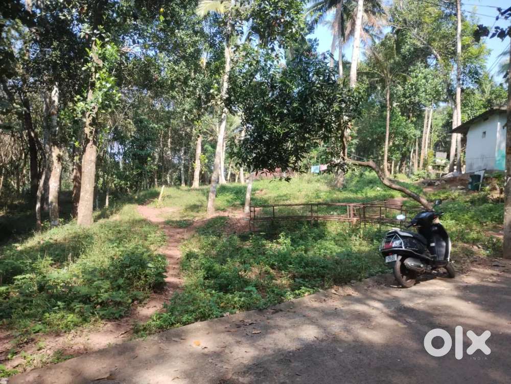 For sale 37 cents , negotiable in price,