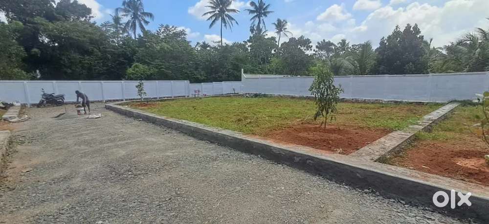 Angamaly puliyanam elavoor 4,5,6 cents house plots for sale