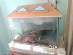 One new empty good condition Aquarium