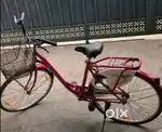 Lady bird cycle