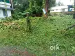 6 CENT PLOT FOR SALE in residential area