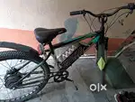 Electric cycle