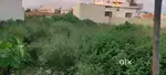 Urgently Sale Plot Near Bengali Kothi Dehradun