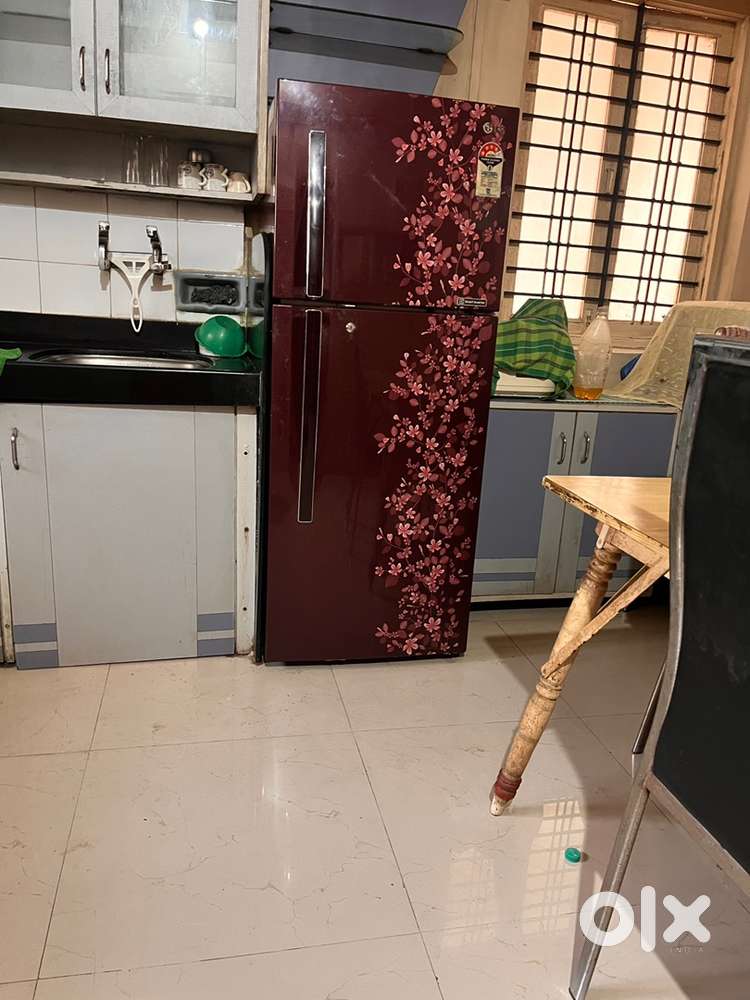 LG 238 lit double door 4 star