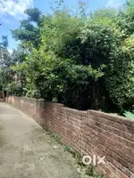 11 KATHA Land For Sale with boundary wall Kanthalpuli, Chakdaha