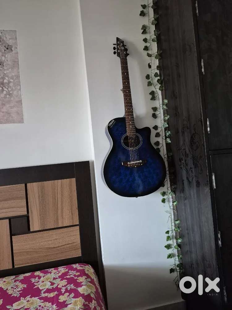 Guiter 1 years old