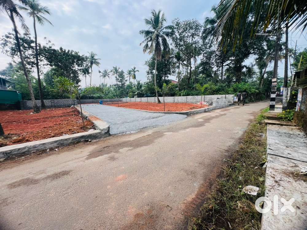 നെടുമ്പാശ്ശേരി പറമ്പയം 4,5,10cent house plot  സെന്റിന് 6.50lakh