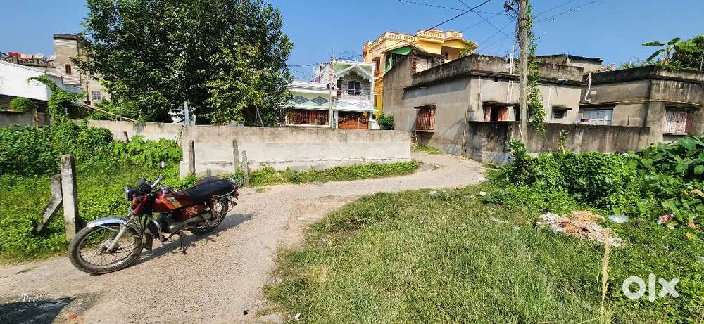 Bolpur er modhhe bastu ba shali  jomi najjo mulle bikroi ache