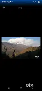 Rohilla property