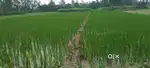 खेती की ज़मीन चाहये तो दस बीघा ज़मीन है चाहे जितनी ले लो