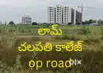 చలపతి కాలేజీ ఎదురుగా ఉన్న రోడ్లలో 150 గజాల.ప్లాట్ తూర్పు ఫేస్