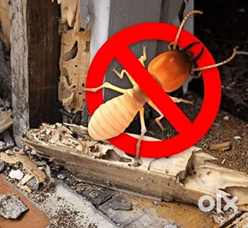 Pest control services Anti termite and cockroach service with waranty