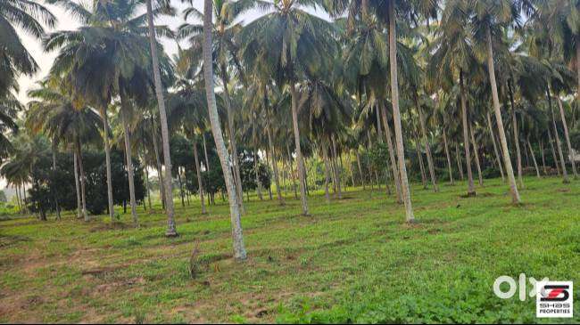 Farmland for sale at Kozhinjampara, Palakkad