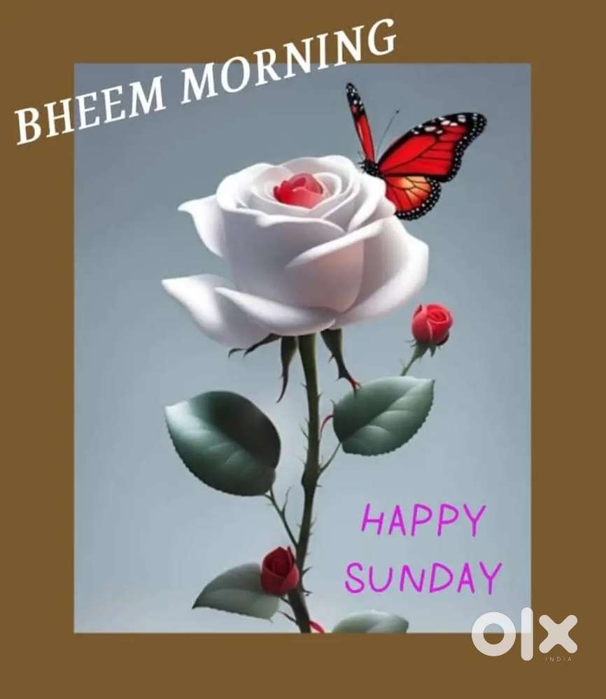 House forrent near gittikhadan bus stop