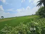 Land or plot for sale