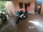 Good Cuntisun