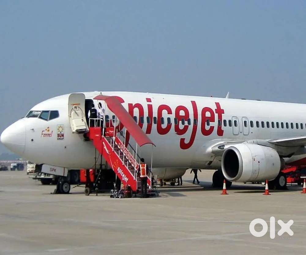 JOBS in IndiGo airlines call me for this job