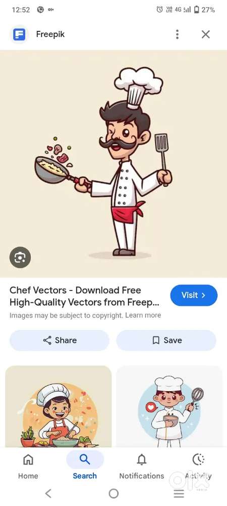 Chinese Indian chef(Biryani, Rolls, Indian)