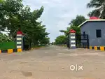 SUNREY RESORT oppsite area